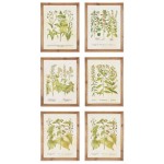Napa Home And Garden Botanical Prints