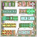 1 2 Acre Vegetable Garden Plan