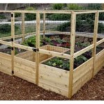 8x8 Raised Vegetable Garden Plans