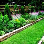 Best Plants For Narrow Garden Beds