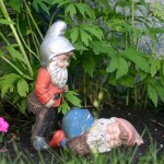 Dirty Garden Gnomes