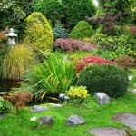 Full Sun Japanese Garden Plants
