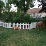 Garden Border Fence To Keep Dogs Out