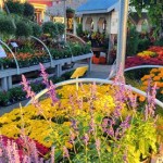 Houston Plants And Garden World Locations