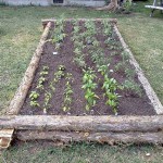 How To Build A Raised Garden Bed With Logs