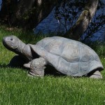 Large Garden Tortoise Statue