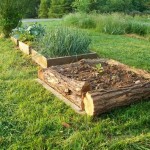Log Raised Garden Bed