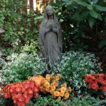 Mary Garden Ideas
