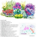Perennial Garden Plan Zone 4