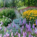 Perennial Garden Plans Zone 5 Partial Sun