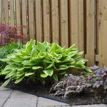 Perennial Shade Garden Plans Zone 5