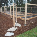 Plans For Raised Garden Bed With Deer Fence