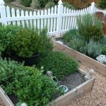 Raised Bed Herb Garden Layout