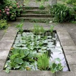 Rectangular Garden Pond Ideas