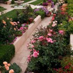 Rose Garden Landscaping Ideas