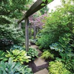 Shade Garden Ideas Zone 6b