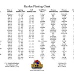 South Georgia Garden Planting Guide