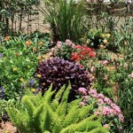 Starting A Flower Garden In Florida