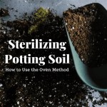 Sterilize Garden Soil With Bleach