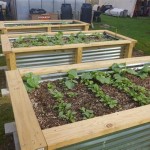 Tiered Raised Garden Bed Plans Pdf