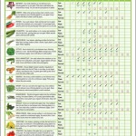 Vegetable Garden Planner Calendar Uk