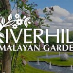 What Happened To River Hill Garden Center