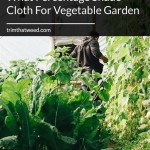 What Percentage Shade Cloth For Vegetable Garden