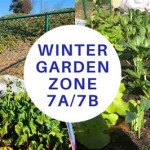 Winter Garden Zone 7b