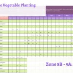 Zone 8b Gardening Calendar